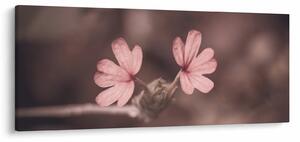 Slika ružičastog cvijeta (120x50 cm)