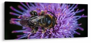 Slika pčele na cvijetu (120x50 cm)