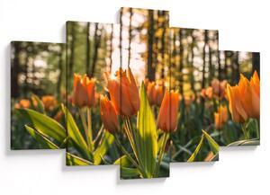 Slika - narančasti tulipani (150x105 cm)