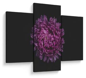 Slika ljubičastog cvijeta (90x60 cm)