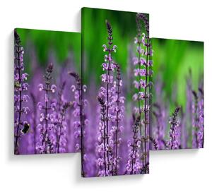 Slika ljubičastog livadskog bilja (90x60 cm)
