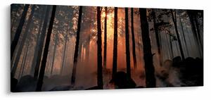 Slika mračne šume (120x50 cm)