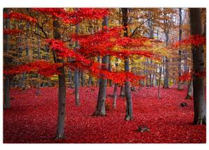 Slika - Rdeči gozd (90x60 cm)