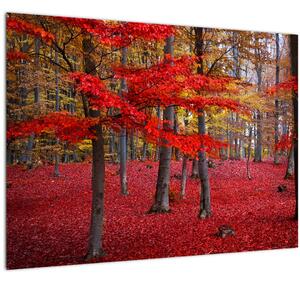 Slika - Rdeči gozd (70x50 cm)