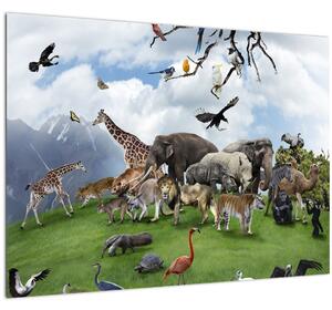 Slika - Živali na otoku (70x50 cm)