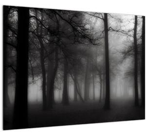 Slika - Gozd v megli (70x50 cm)