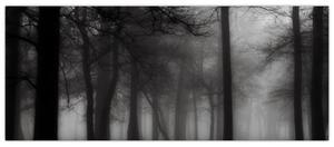 Slika - Gozd v megli (120x50 cm)