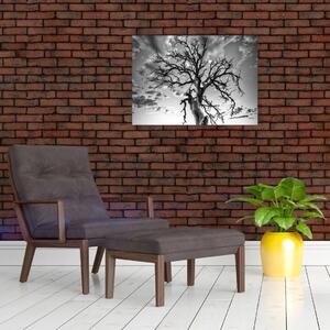 Slika - Črno-belo drevo (70x50 cm)