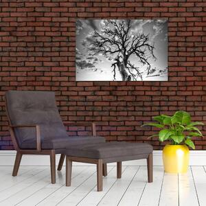 Slika - Črno-belo drevo (90x60 cm)