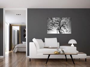 Slika - Črno-belo drevo (90x60 cm)
