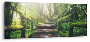 Slika - drvene stepenice u šumi (120x50 cm)