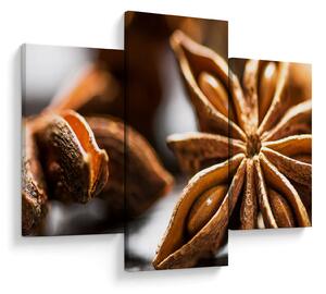 Slika - Anis (90x60 cm)