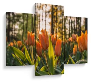 Slika - narančasti tulipani (90x60 cm)