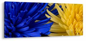 Slika - detalj cvijetova (120x50 cm)