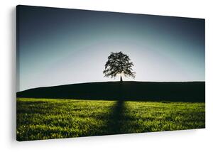 Slika prirode - stablo (90x60 cm)
