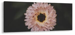 Slika narančastog cvijeta (120x50 cm)