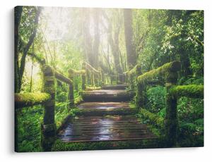 Slika - drvene stepenice u šumi (70x50 cm)