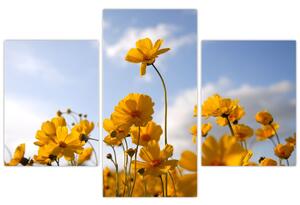 Slika polja s svetlo rumenimi cvetovi (90x60 cm)