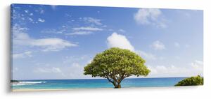 Slika plaže s drvetom (120x50 cm)