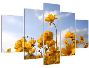 Slika polja s svetlo rumenimi cvetovi (150x105 cm)