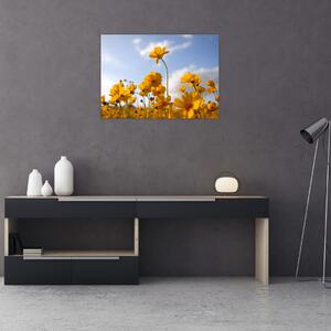 Slika polja s svetlo rumenimi cvetovi (70x50 cm)