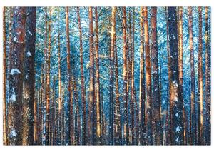 Slika - Zimski gozd (90x60 cm)
