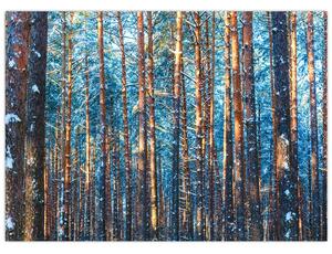 Slika - Zimski gozd (70x50 cm)