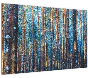 Slika - Zimski gozd (90x60 cm)