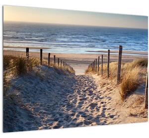 Staklena slika - Cesta do plaže ob Severnem morju, Nizozemska (70x50 cm)