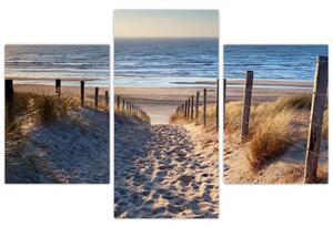 Slika - Cesta do plaže ob Severnem morju, Nizozemska (90x60 cm)