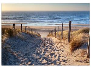 Slika - Cesta do plaže ob Severnem morju, Nizozemska (70x50 cm)