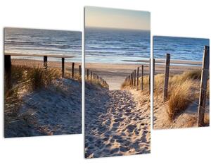 Slika - Cesta do plaže ob Severnem morju, Nizozemska (90x60 cm)