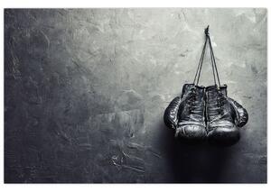 Slika boksarskih rokavic (90x60 cm)