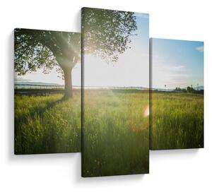 Slika ljetne livade (90x60 cm)