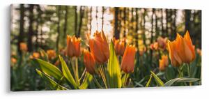 Slika - narančasti tulipani (120x50 cm)