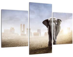 Slika - Sloni v velikem mestu (90x60 cm)