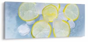 Slika limuna u ledu (120x50 cm)