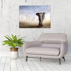Slika - Sloni v velikem mestu (70x50 cm)
