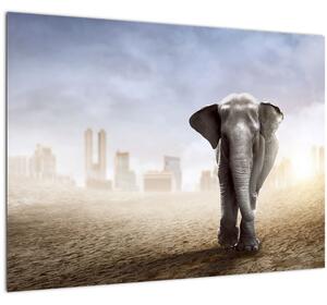 Slika - Sloni v velikem mestu (70x50 cm)