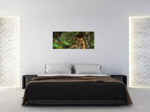 Slika počivajočega tigra (120x50 cm)