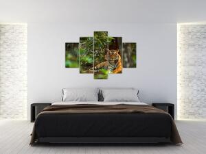 Slika počivajočega tigra (150x105 cm)