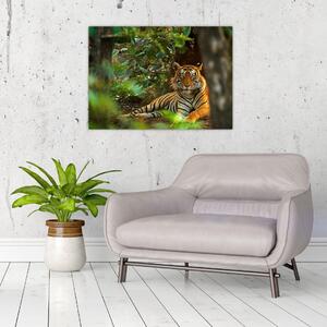 Slika počivajočega tigra (70x50 cm)