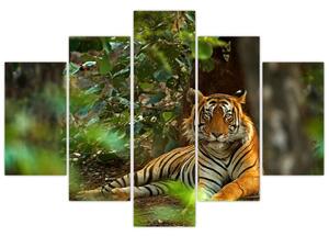 Slika počivajočega tigra (150x105 cm)