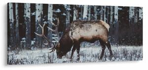 Slika - jelen zimi (120x50 cm)