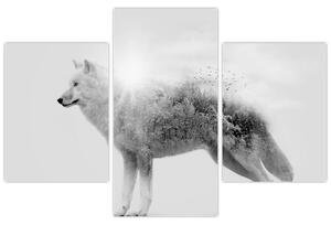 Slika - Arktični volk zrcali divjo pokrajino, črno-belo (90x60 cm)