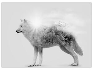 Slika - Arktični volk zrcali divjo pokrajino, črno-belo (70x50 cm)