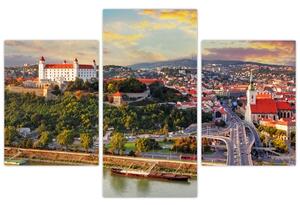 Slika - Panorama Bratislave, Slovaška (90x60 cm)