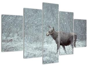 Slika - Los v zasneženem gozdu (150x105 cm)