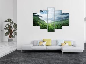 Slika - Sejšelska džungla (150x105 cm)