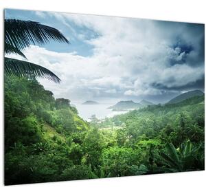 Slika - Sejšelska džungla (70x50 cm)